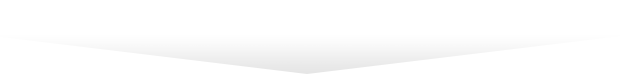ORGANISATION_fleche